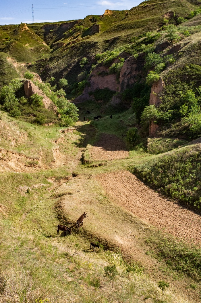 山间德小路