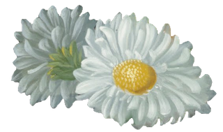 复古油画质感宫廷花卉植物花朵鲜花拼贴图案PNG免抠图片设计素材