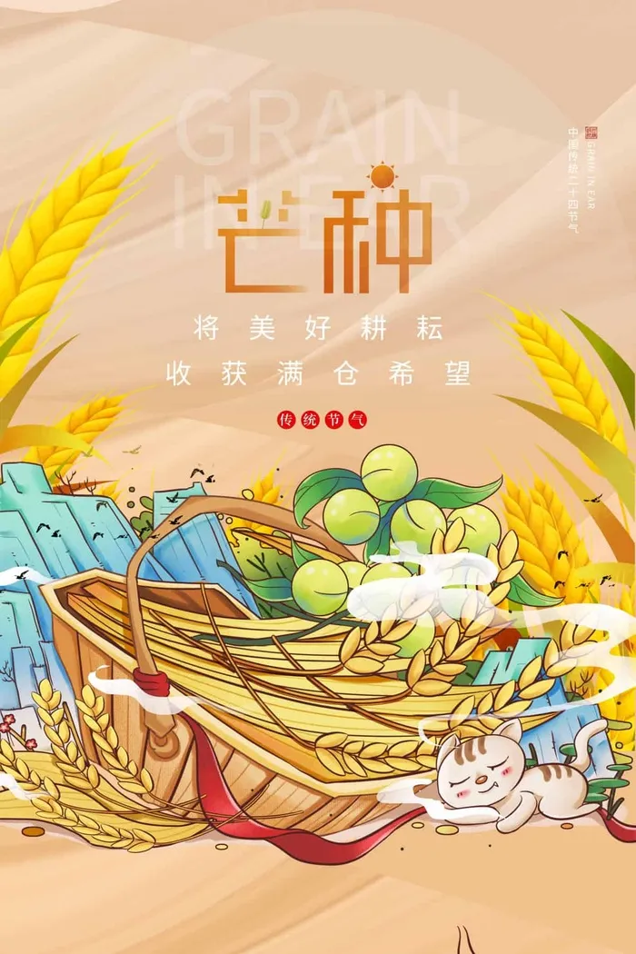 芒种 芒种宣传营销psd模版下载