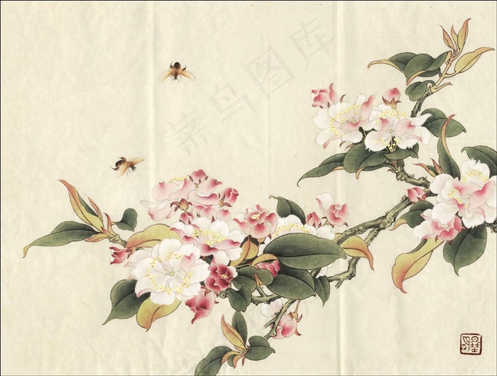 临余致贞西府海棠