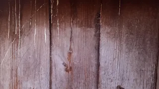 高清木板木纹背景