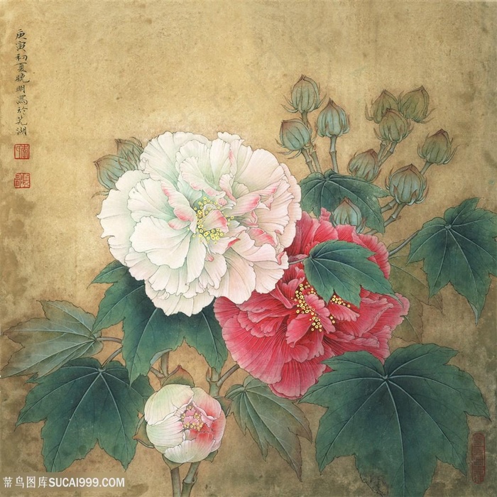 高清古典李晓明工笔双色芙蓉国画图片