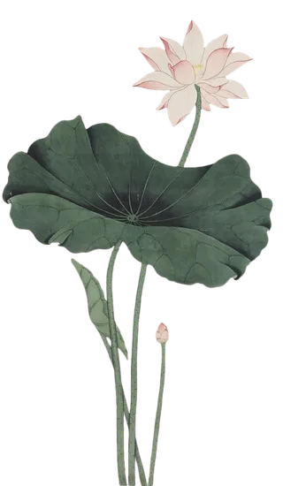 古风工笔画素材免扣