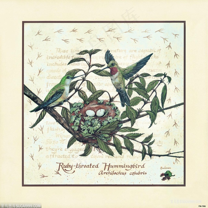 树枝鸟窝唯美插画