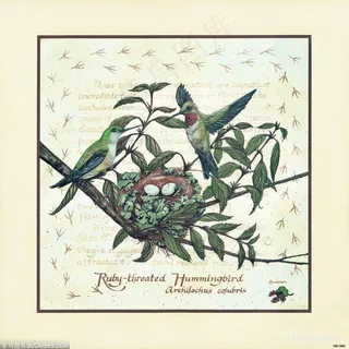 树枝鸟窝唯美插画