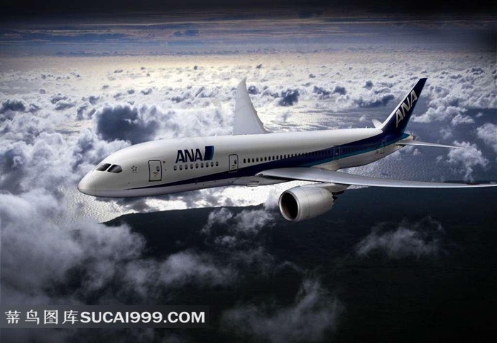 飞行的全日空航空ANA公司的飞机