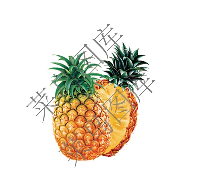 菠萝高清图psd模版下载