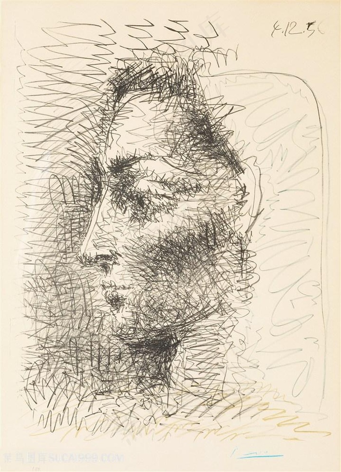 毕加索线描时尚女性艺术插画