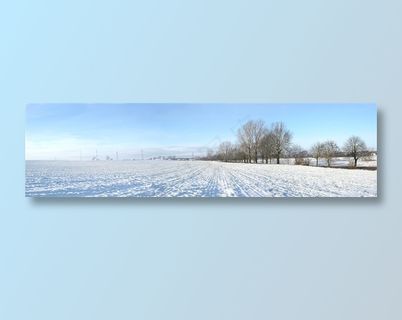 冬天雪地风景图