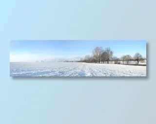 冬天雪地风景图