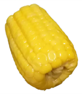 甜玉米玉米段水煮玉米免抠摄影元素素材