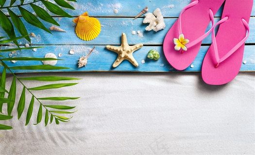 贝壳与海星图片