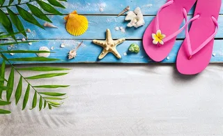 贝壳与海星图片