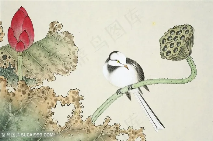 莲花唯美花鸟时尚装饰画