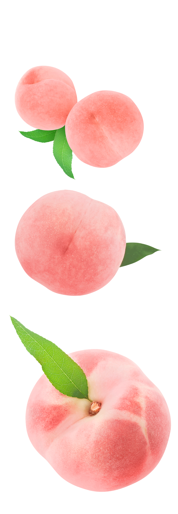 粉色桃子素材免扣