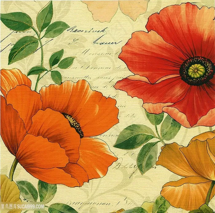 欧式花朵装饰画