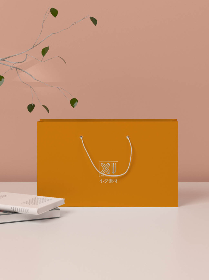 包装智能贴图样机VI效果PSD素材