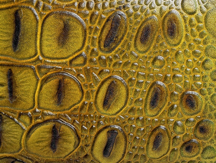 精美蛇皮纹理背景高清素材图