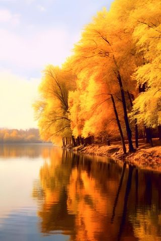 湖边树林秋季美景