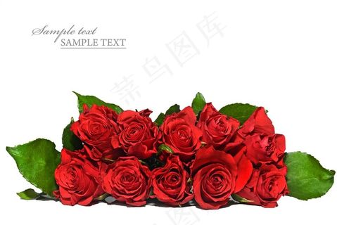 整齐摆放的红玫瑰海报背景