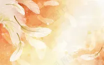 白色羽毛橙黄色手绘背景