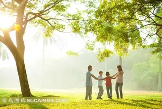 树下手拉手的一家人