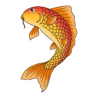 手绘烫金国潮中国风卡通锦鲤鱼金鱼插画装饰元素PSD设计素材