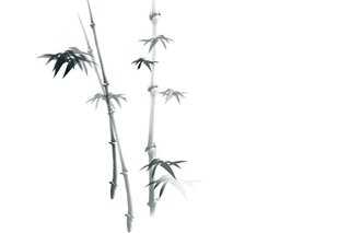 竹子水墨画中国风国画墨水书法竹子画