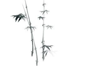 竹子水墨画中国风国画墨水书法竹子画