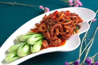 CXC00228菜胆上阳