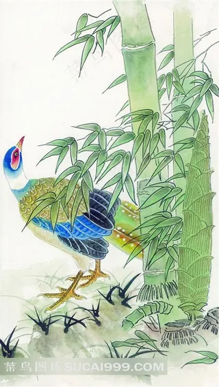 中国风孔雀竹子高清素材图