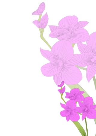 粉紫色小清新石斛兰背景插画免抠