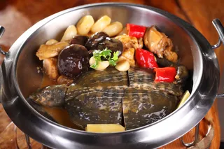 野生甲鱼焖土鸡 (1)