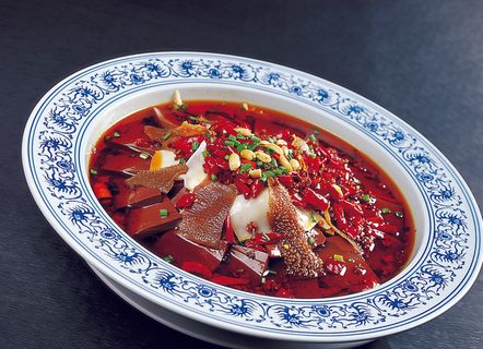 CXC06969重庆毛学旺