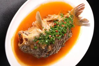 家乡黄河鲤鱼 (1)