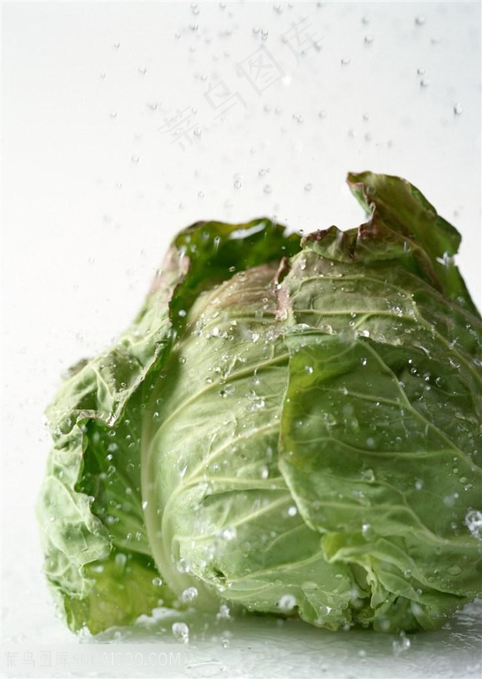 新鲜包菜蔬菜高清素材