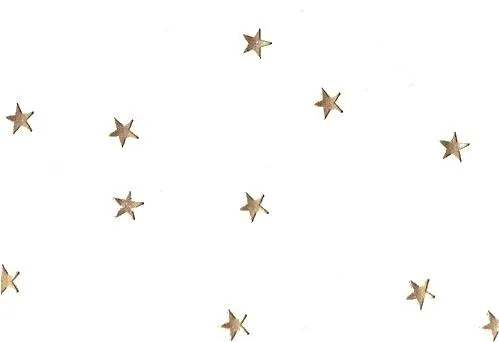 星星 PNG免抠(499x342)