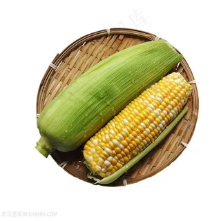 新鲜玉米图片 新鲜玉米图片