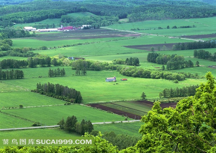 北海道田园风光风景图片