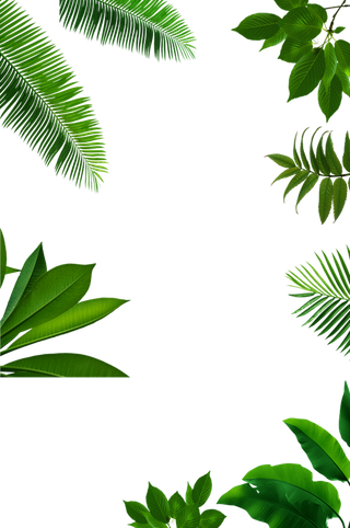 树木树枝树叶免扣素材