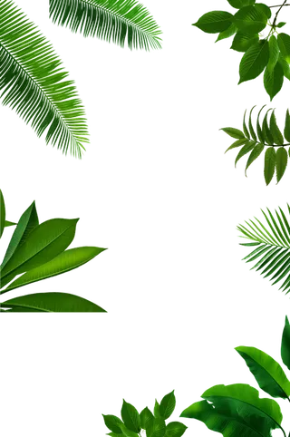 树木树枝树叶免扣素材