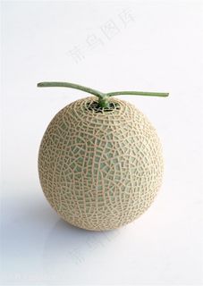 新鲜哈密瓜水果素材