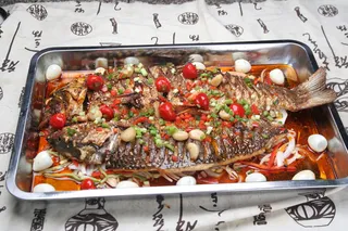 14渔夫生炊鱼-珠江苑