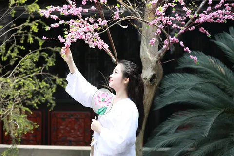 古装汉服侧颜美女图片 古装汉服侧颜美女图片
