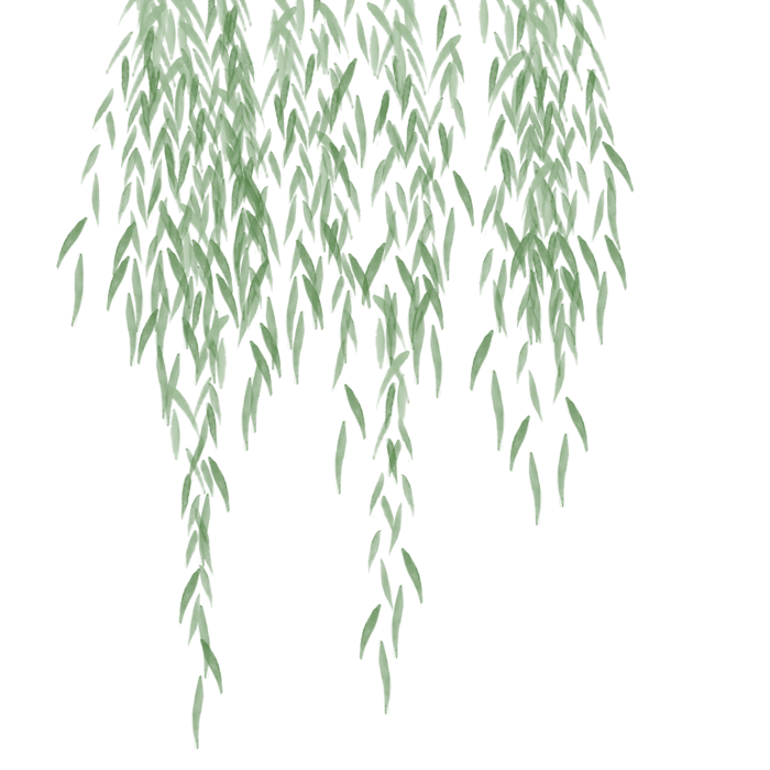 春天绿色春季水墨柳树柳条柳叶春季海报设计PNG免扣素材