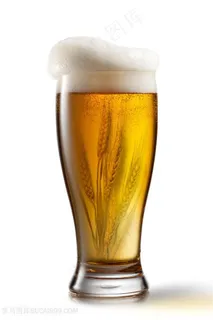 麦芽酒麦子酒啤酒 麦芽酒麦子酒啤酒