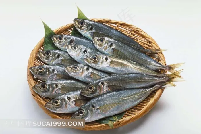 新鲜鱼素材图片