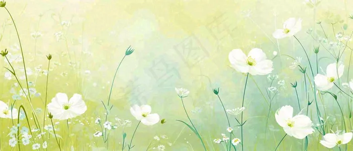 清新白色小花野花野草春天萌芽手绘，春分(1680x720)