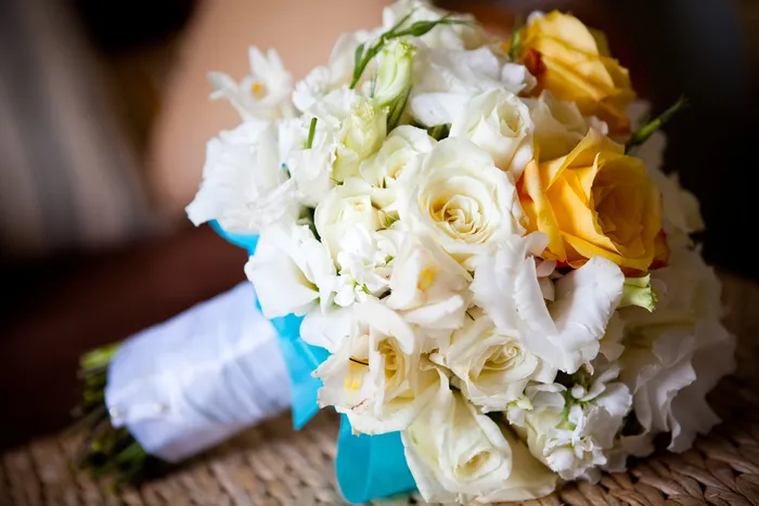 玫瑰手捧花图片下载