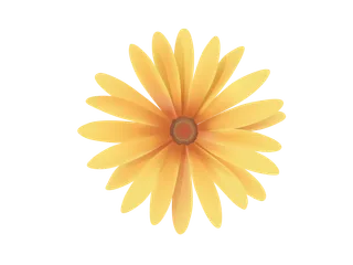 黄色菊花矢量图元素手绘